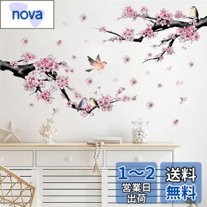 yzWOHAHA EH[XebJ[   sN ̉  ԐA n敗 ǎV[ ͂ h EH[Ă[ rO[  xbh[ IV ǂɓ\ 