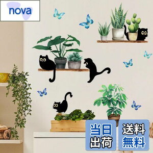 WOHAHA EH[XebJ[ L 킢  L A  EH[Ă[ Ԃ̉ƒ둕i EH[fRbV EH[V[ ǎV[ ͂  h q ۈ