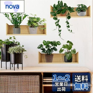 yzWOHAHA EH[XebJ[ A  A VFt  iF ϗtA IV  k mg[ ǎV[ plant wall stickers h EH[Ă[ Sܕt 
