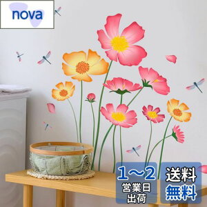 yzWOHAHA EH[XebJ[  傫  A ԕV[ g{ EH[Ă[ ǃV[ ͂ IV mg[ ԏy[p[ q ct ۈ牀 