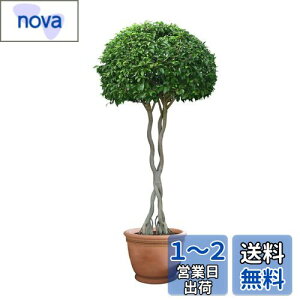 yzWOHAHA EH[XebJ[   t A Ϗܗp Go[O[ A 傫 rO[ Q L  O[ ǂɓ\ ǎV[ ͂  k