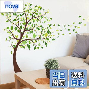 yzWOHAHA EH[XebJ[    t iF 傫 ǎV[ ͂  k mg[ ǂɓ\ Ǐ h EH[V[ plant wall stickers decoration 