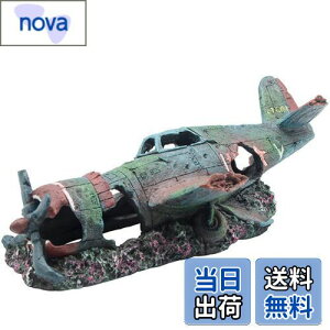 yzS-Lifeeling   퓬@ Be[W s@  i  GrVF^[ A B    T ^N 
