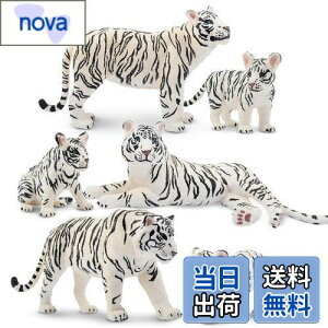 yzTOYMANY 6PCSzCg^CK[tBMA tBMA gtBMAZbg 쐶tBMA f eq ƒ Aȓ͌^ lC  ߋ av