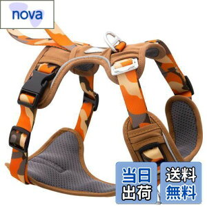 yzJC HOUSE  n[lX ^ y h~u񂪊J܂vȒPE \tg p SȂ TCY 3MԔ Ȃ ʋC Pݖh~ U  