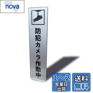 yzSeagron hƃJ쓮 }Olbg TCv[g Vo[F AN  14×3.5cm (hƃJ쓮 ^e^)