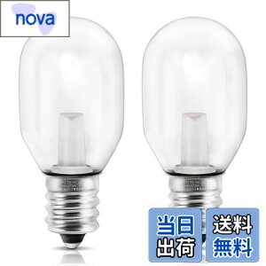 【送料無料】DiCUNO LED電球 E12口金 1W ナツメ球 6W相当 電球色 2700K 常夜灯 装飾電球 クリア AC100V 広配光 T型タイプ 調光非対応 省エネ PSE認証済み 2個入