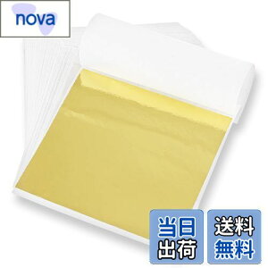 yz wAp V[g t[N 8x8.5cm 100 ͑  l  Ǝ WFlC ZtlC DIYWG[ H|i W p G p BEIHOO (S[h)