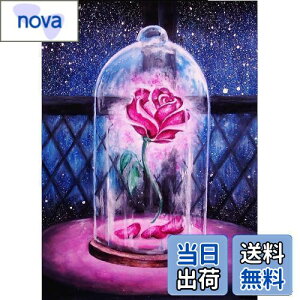 yzAmyaker _ChA[g Lbg lpr[Y S _CAhr[YGLbg DIY G |Lbg UCNA[g 5D UCNA[g _Chh Sʓ\t