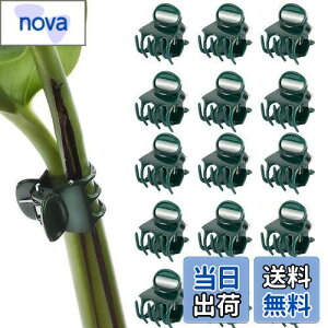 yzPAVIKE m ApNbv 50 AxNbv |Nbv ڂ؃Nbv xUNbv ϋv ͔| ėp\ K[fK[fc[ |֗Nbv |