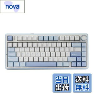 yzEPOMAKER x Aula F75 Q[~OL[{[h KXPbg JjJL[{[h 5wpbhmut 75% CX zbgXbpu Bluetooth/2.4GHz/USB-C RGB ZKF؎擾 (Sea Salt Blue, L