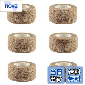 yzSANJAOYEE e[sOe[v e[sO Lk 6 2.5cm*4.5m e[v S e[sO of[W  e[v sDzÏW AX`bNe[v qɓKĂ܂