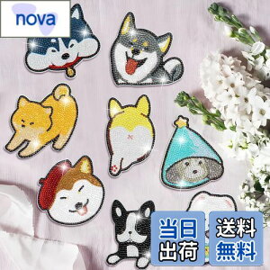 yzLUCKYBEE 8 _ChA[g R[X^[ Lbg _CAhA[g Zbg r[YA[gDIY_ChyCeBO 5D_ChhLbg z_[t R[X