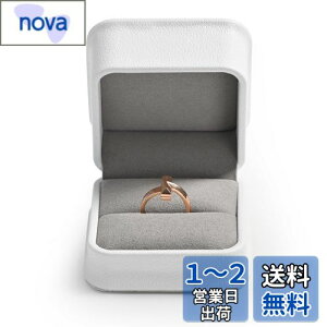 yzOirlv wփP[X v|[Y OP[X PUU[ 1p ^ ~j v[g LO ȂǂɓK MtgP[X H12301 (zCg)