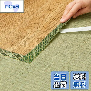 yz(Hagihara) EEȌCpe[v O[ 4m uNo.12v {