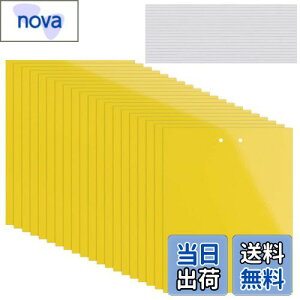 yzKALOLINNA  SV[g  QߊlS ʔS h S ȒPt Q ߒ h nG 쏜 ߊl K[fjO _ ͔| ƒ؉ CG[ (20×10cm,20)