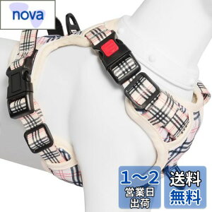 yz[2025ŐV^n[lX]BaoCheng p ^/^/^n[lX p h~ A^}ʂ P݌y TCY\ Ԕˍ Ȃ ʋC ȒP