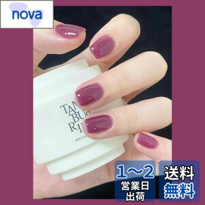 yzFuyunohi lC`bv V[g  Z V[glC`bv n p[v ؍ ʃe[vt ȒPɎt 24Zbg DIY ֗ lCpi r[eB[ t@bV
