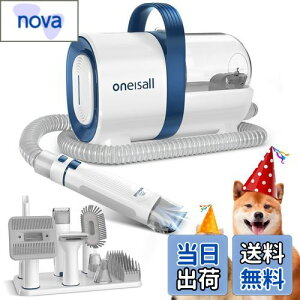 Oneisall  oJ ybgpoJZbgy7in1 |@AdoJAuVȂǈ䑽zybg̖ |@  12000pa O[~O|@  |@ ybg O[~O |@ y