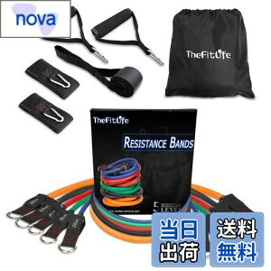 yzTheFitLife g[jO`[u `[u g[jO ؃g`[u (////)