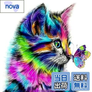 yz5d_ChA[g Lƒ 5D _Chh UCNA[g _ChyCeBO Lbg r[YG Sʓ\t^Cv r[YA[g UCNr[Y |pi 