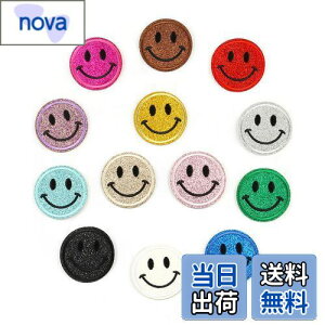 yzYFFSFDC ACby hJ X}CbyZbgɂ DIY   qp ct ۈ牀  pb` Cy13Fz