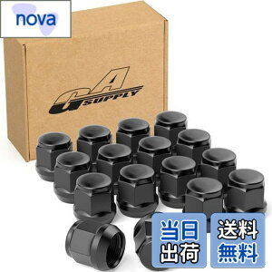 �y���������zGAsupply ���O�i�b�g M12 x P1.5 �z�C�[���i�b�g �e�[�p�[��60° ����24mm 19HEX �}�c�_/�_�C�n�c/�O�H�ɂɑΉ� �X�`�[���� 16�Z�b�g �u���b�N