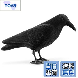 yzNavaris JX u 悯 ރObY - 悯ObY JX悯ObY Nh XY Q΍ - K[fjO C eAG