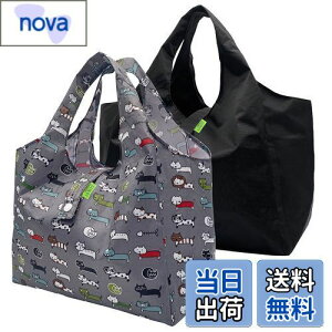 yz[GOKEI] GRobO RrjobO y2z `obO L }`L  ܂肽 hf y  WobO RpNg [ ≘ɂ j Y