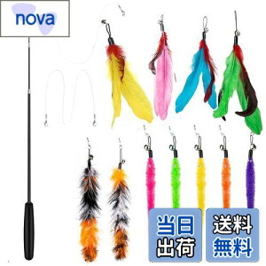 yz14 _Zbg L ColiChili L炵 VR Ĥ pH11 _t pނ莅2 ԂԂ ybgObY ˂pi