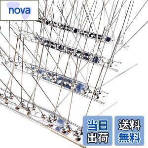 yzONESORA  悯 100%XeX o[hs ϋv y 1mz 悯 XpCN 悯 R LhS JX悯 ̃tQ΍  x_ J[|[g  Ԍ A