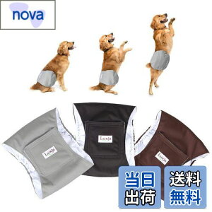 yzLuxja p}i[xg j̎q bV h Lk 3_Zbg }[LO R炵 IVbR΍ o  p(L,+O[+R[q[F)