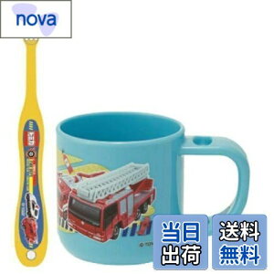 yzXP[^[ (skater) uVZbg uV Zbg X^ht Rbv 3-5ˉp g~J 19 180ml 14.5cm KTB5