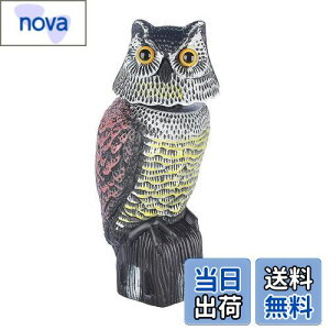 yz悯tNEAtNE̒uԎ蓮phwbhA 悯 Q΍ ӂ낤 JX悯 U ɗh360x x_ ̑lY~Ȃǂ̏