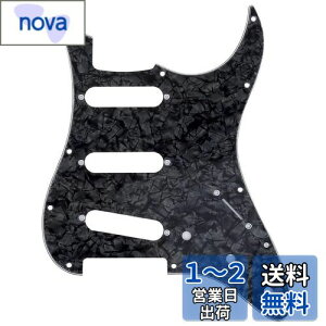 yzMusiclily Pro 72N11 XggLX^[psbNK[h{Fender Japan StratGLM^[pAubNp[4P