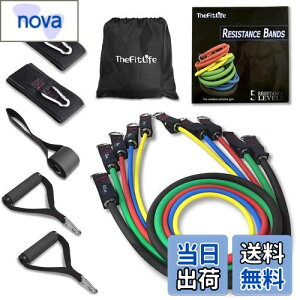 yzTheFitLife g[jO`[u `[u g[jO ؃g`[u (/VF/gF//nF)