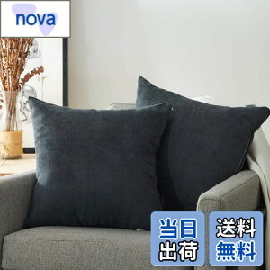 yzTopfinel NbVJo[ lۂ 45×45cm k  Ȗ n \t@w Jo[ zcJo[ ZO[ 2ZbgiS10Fj