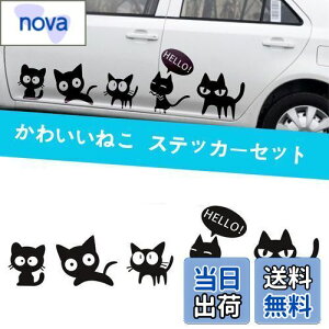 yz1797 ԗp XebJ[ L ˂ 킢  ʔ  hXebJ[ J[XebJ[ xbh[ X[cP[X PC ėp ԃhA  ǃV[  fJ[ V[ u