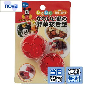 yzXP[^[(Skater) ؔ^ { fBYj[ ~bL[}EX LKVN1-A