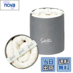 yzĂ^I feel tFCX^I 34×85cm 100 {bNX (~Xg(n))