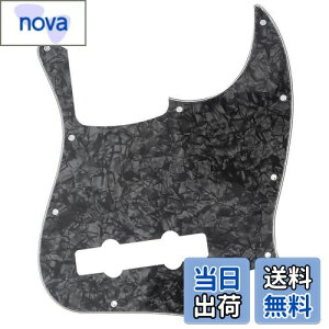 yzMusiclily Pro 10 vVWx[XPBsbNK[h5Fender Mexican Precision BasspAubNp[4P