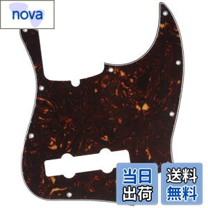 yzMusiclily Pro 10 vVWx[XPBsbNK[h5Fender American Precision BasspAꈍb4P