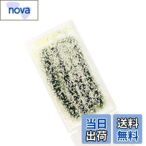 【送料無料】花 ジオラマ用素材 草花シリーズ 白 情景コレクション グラス模型 建物モデル 装飾 風景 箱庭 鉄道模型 ジオラマ PJ07W-1JP