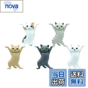 yzMRZJ JKRLyz_[lR̃y S5Zbggyz_[ (5PCS)