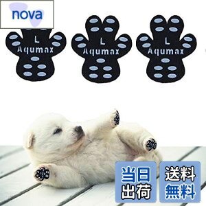 yzAqumax 48 ~ pbh   pbh  ybg CS͂ ~  ی h~ ׂ ~ tbg  p pbh-d؂̏犊藎̂hgNV