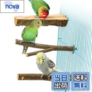 yz3_Zbg ~܂ ~܂ ܂𖁂񂲂̖ R ނ ܂ p[` CR IE  IE  ₷݃{[h Vѓ P[WANZT[ 