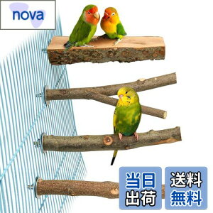 4_Zbg  ~܂ ~܂ ܂𖁂񂲂̖ R ނ ܂ p[` CR IE   ZLZCCR IJCR ₷݃{[h Vѓ P[WANZ