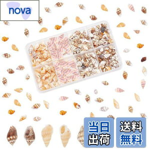 yzPH PandaHall 260 VF Lk Zbg L ~bNX r[`VF fRf r[` ANZT[p[c |pi f   p[eB[  C̓ Ă̑