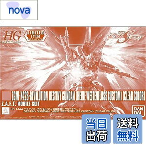yzo_C(BANDAI) HG 1/144 fXeBj[K_(nClp@)[NAJ[] @mK_SEED DESTINY