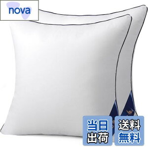 yzBelinna NbVg 45x45cm*2ĩTCYj ׂȂ Zbg cushion w \t@[NbV k[hNbV ې􂢉\ 